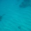 Caribbean | Tortola